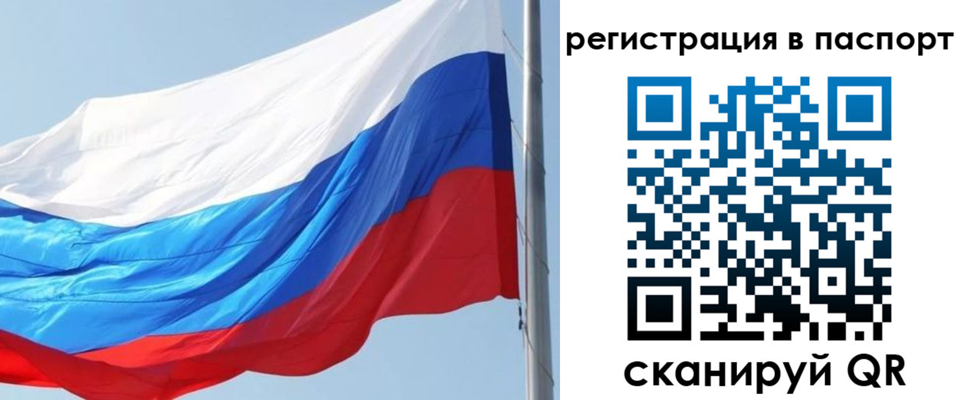 прописка законно в Бородино